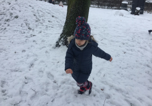 Pola biega po śniegu.