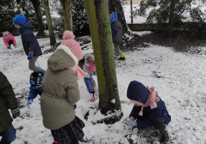 Dzieci lepią kulki ze sniegu.