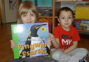 Czytamy ksiązkę o pingwinach