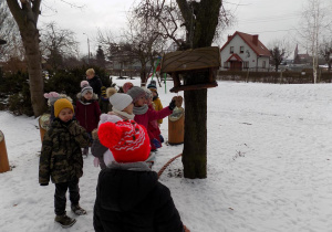 Podziwiamy ptasią stołówkę.